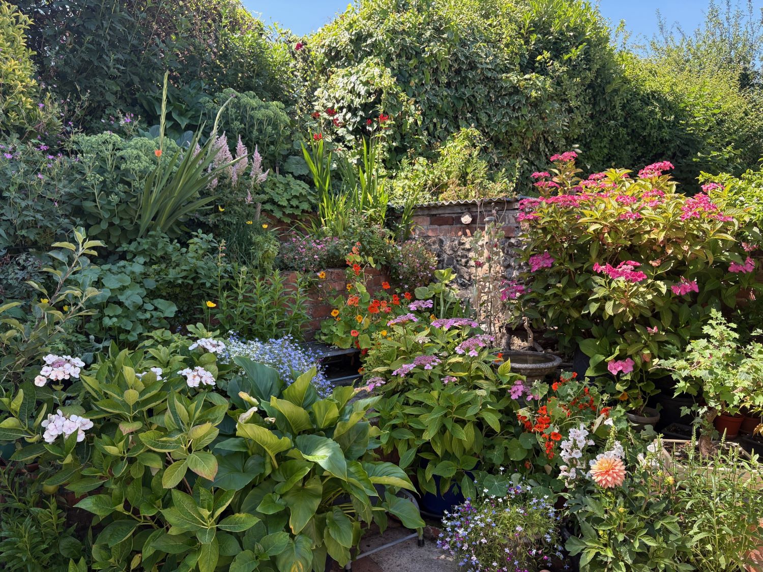 Poster of competition